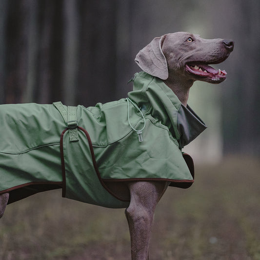 Softshell Dog Jacket