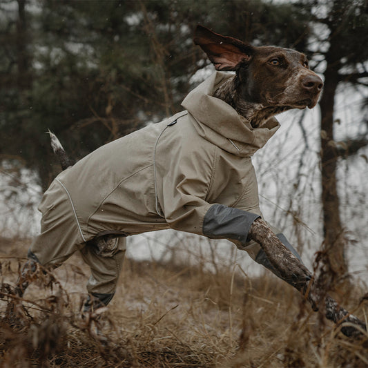 Explorer Dog Rain Jacket