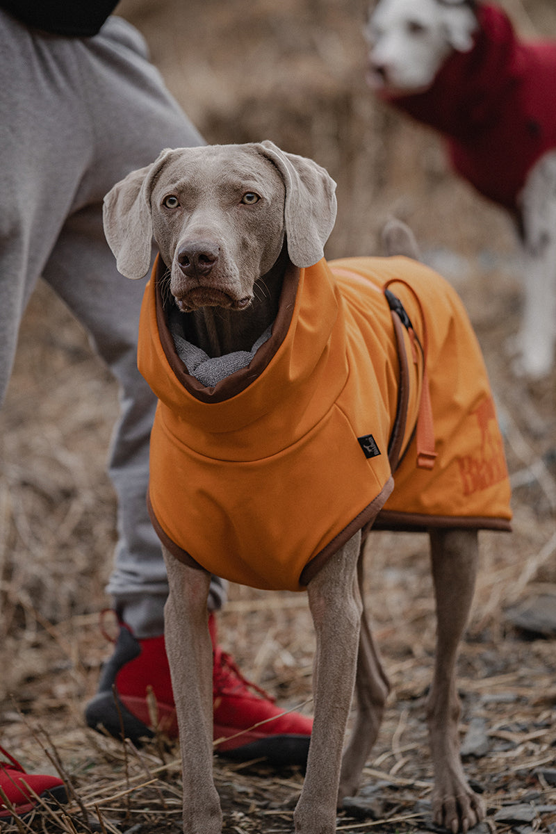 Quick-Dry Dog Bathrobe