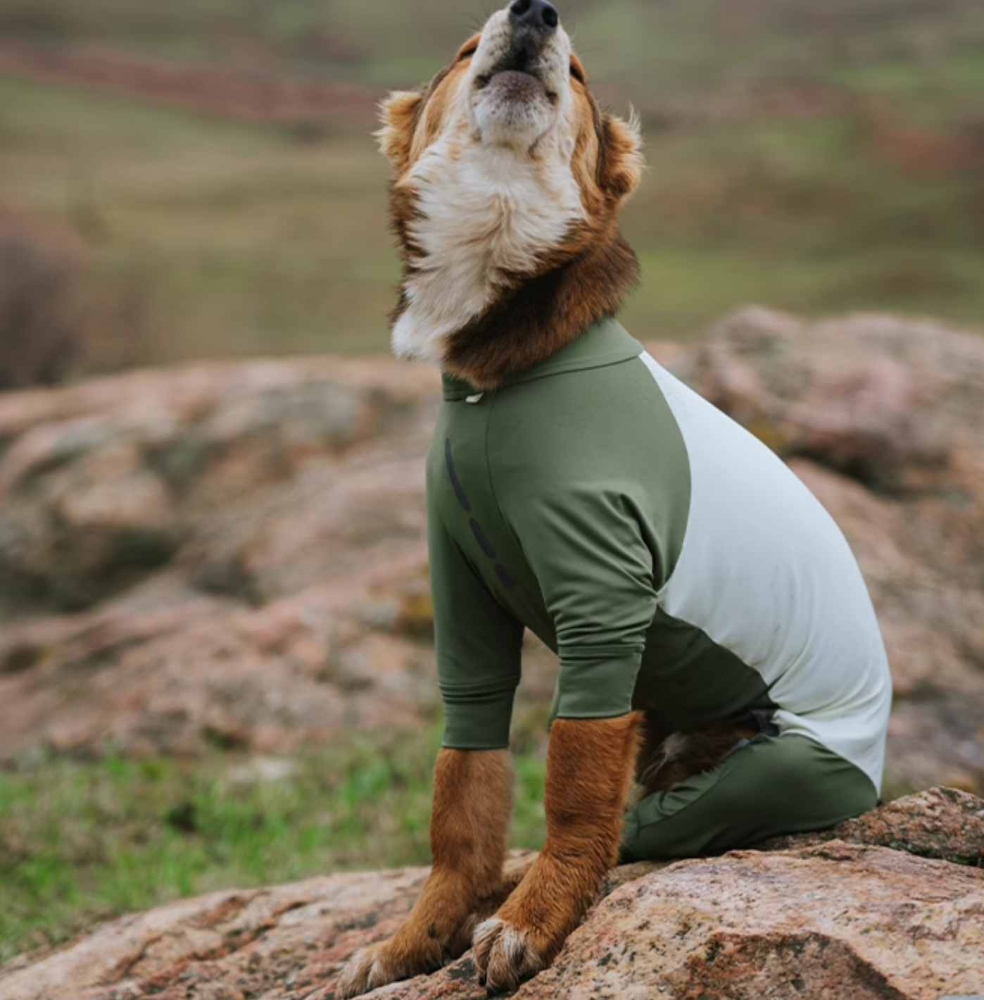 All-Round Cooling Dog Suit