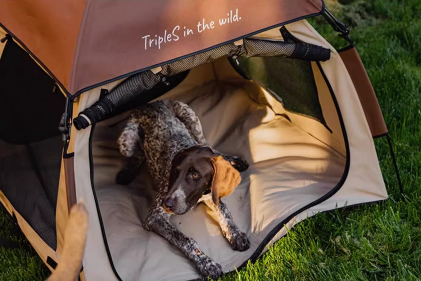 Dog Adventure Tent