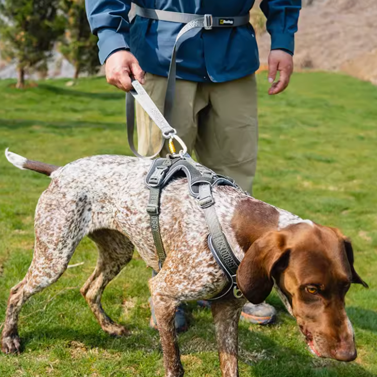 Adjustable Dog Leash