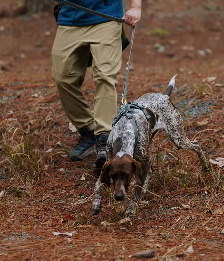 Adjustable Dog Leash