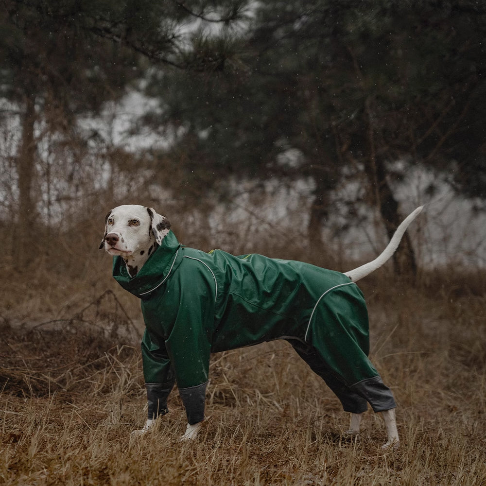 Explorer Dog Rain Jacket