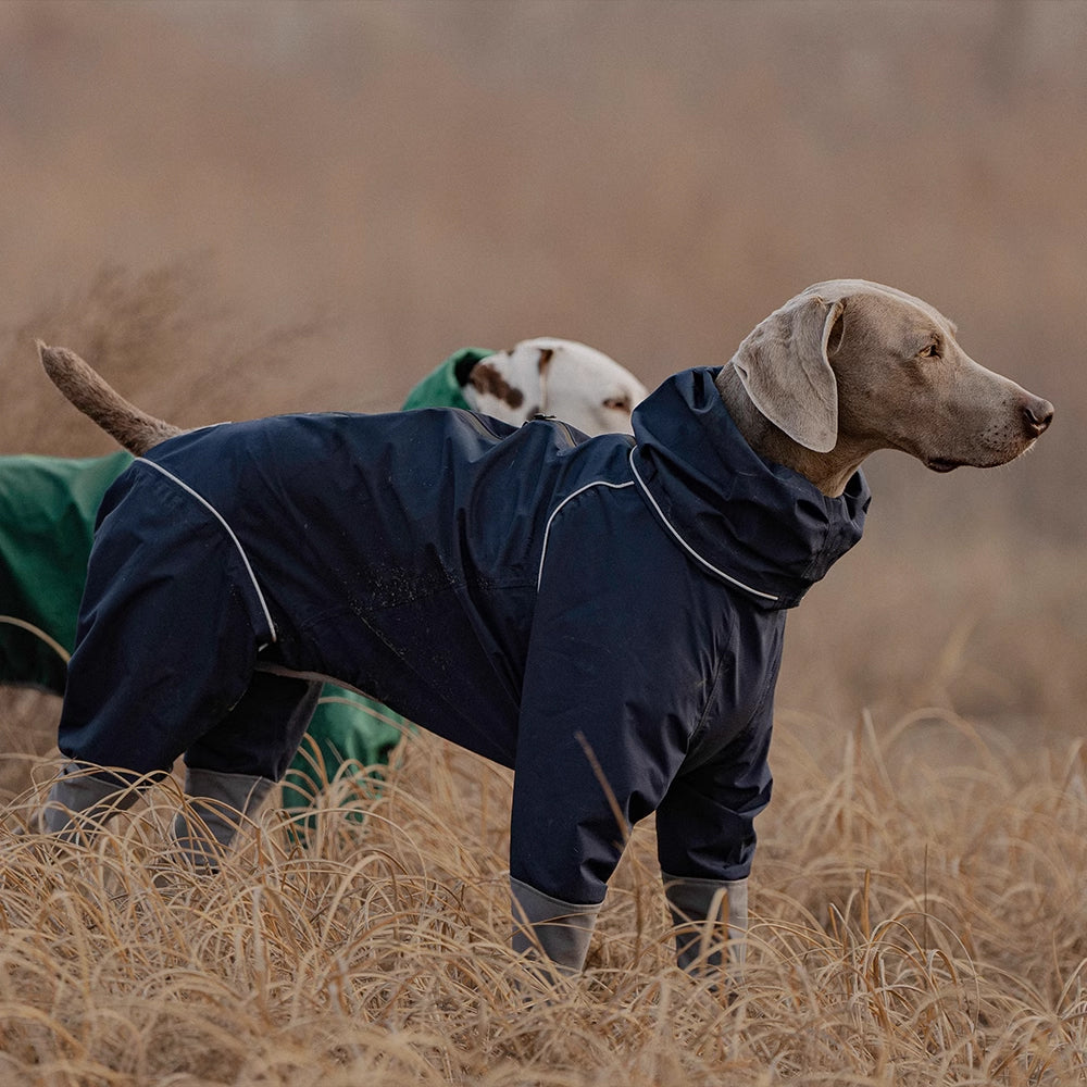 Explorer Dog Rain Jacket