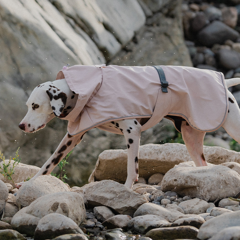 Adventure Guard Dog Rain Jacket