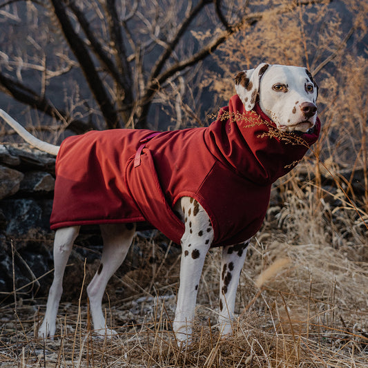 Quick-Dry Dog Bathrobe