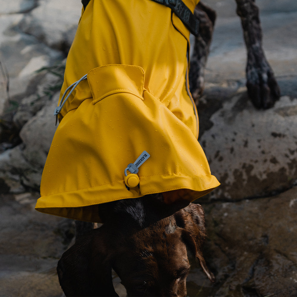 Adventure Guard Dog Rain Jacket