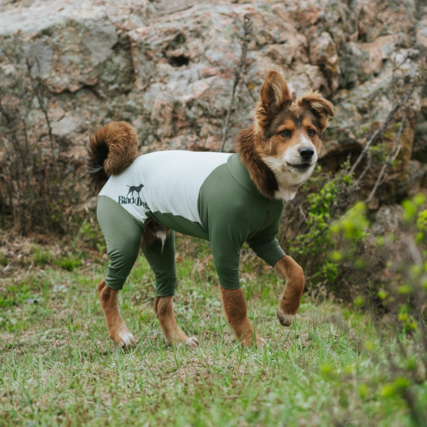 All-Round Cooling Dog Suit