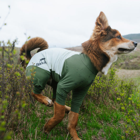 All-Round Cooling Dog Suit