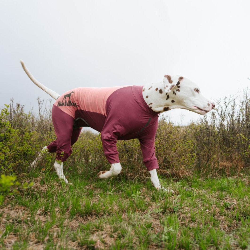 All-Round Cooling Dog Suit