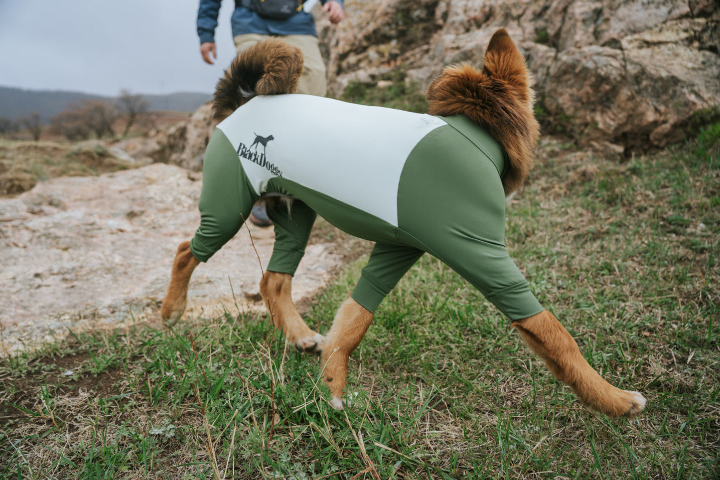 All-Round Cooling Dog Suit