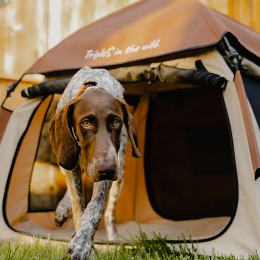 Dog Adventure Tent