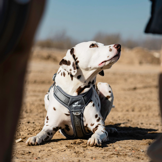 No-Pull Dog Harness