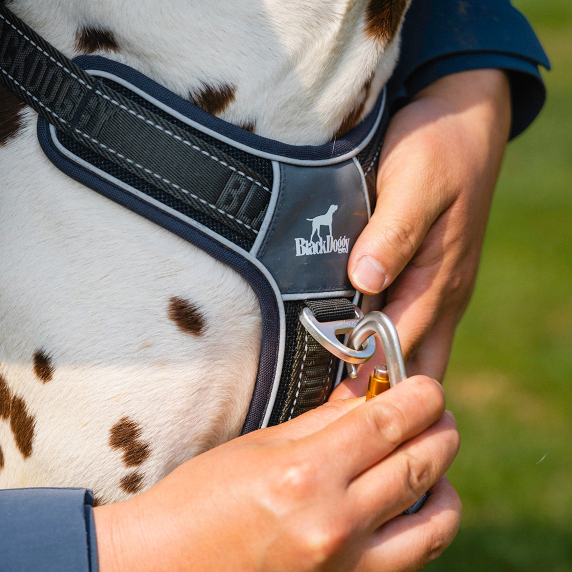 No-Pull Dog Harness